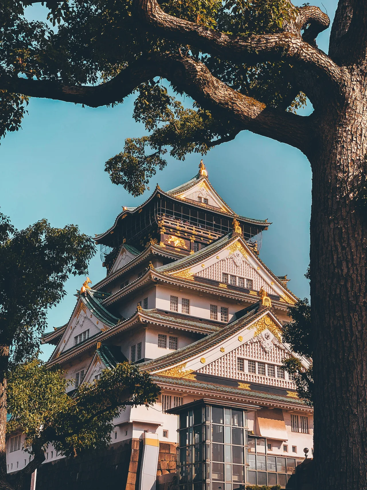 Osaka Castle framed by green trees